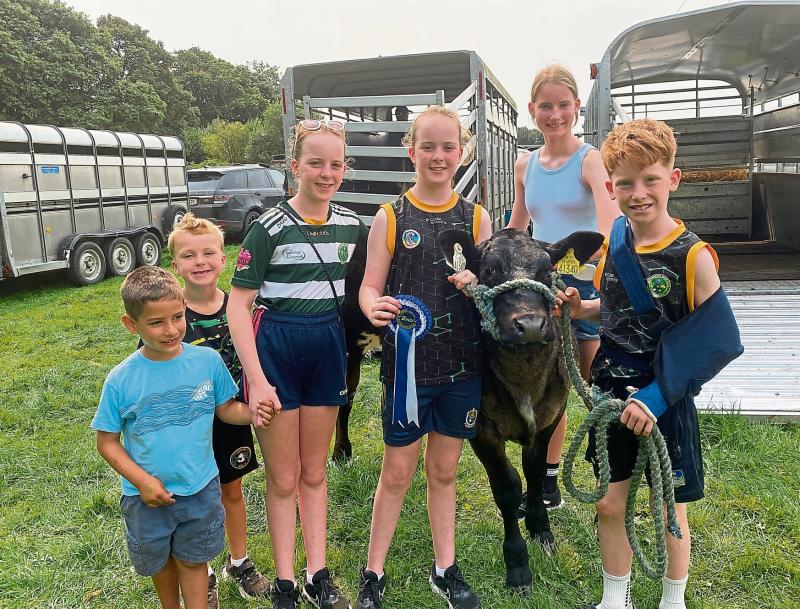 Broken arm wasn't going to stop Limerick's Liam from showing his calf at Cappamore Show!