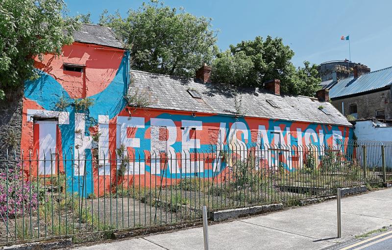 Limerick's An Taisce branch want cars removed from part of riverside