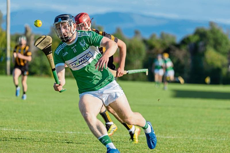 Crucial fixtures down for decision in Limerick Premier Intermediate Hurling Championship
