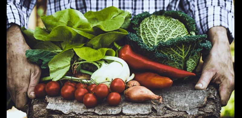 Ballyhoura Growers' Project bringing a renewed focus on reducing food waste