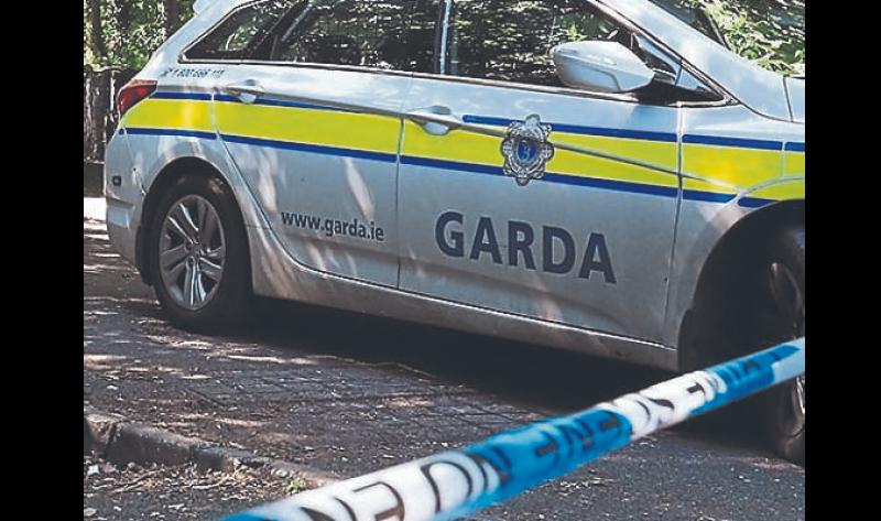 Gardai appeal for witnesses to collision in county Limerick