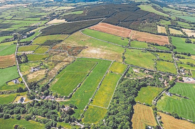 €1m Limerick farm set to go under the hammer in Adare this week