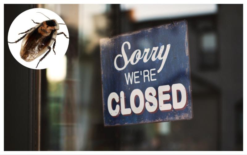 Cockroaches and rodent droppings result in Closure Orders being served on food businesses