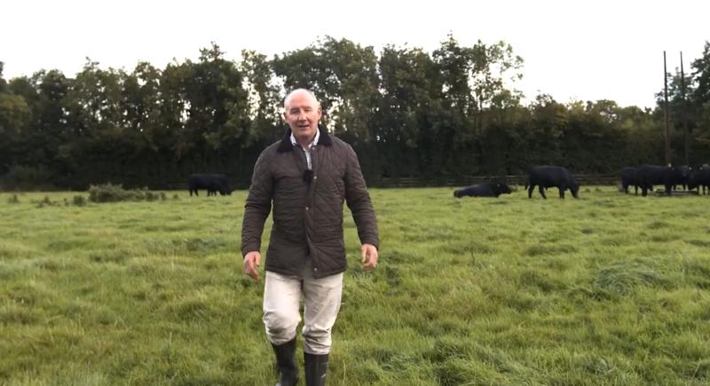 'Whose farm is that?' Jim Gavin's first campaign video causes stir on social media 