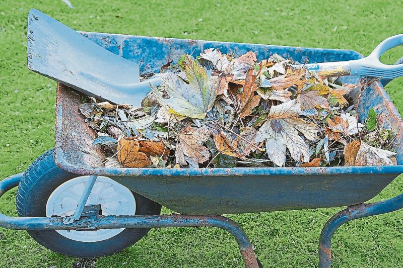 Wheelbarrow applies to Limerick Council to be added to Presidential ticket