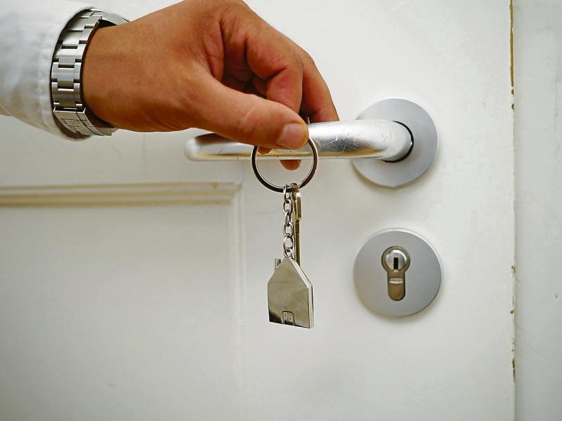 Limerick tenants face 'impossible' choice between pet and home
