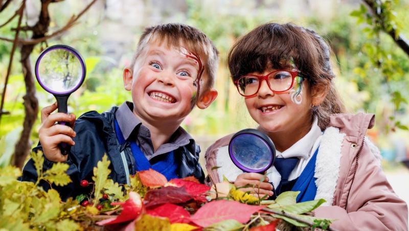 Limerick primary school pupils to plant trees for a greener future