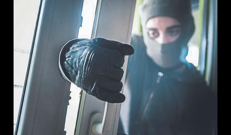 Shutters stop Limerick city break-in