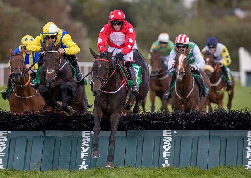 Limerick trainer and jockey have week to remember at Listowel Harvest Festival