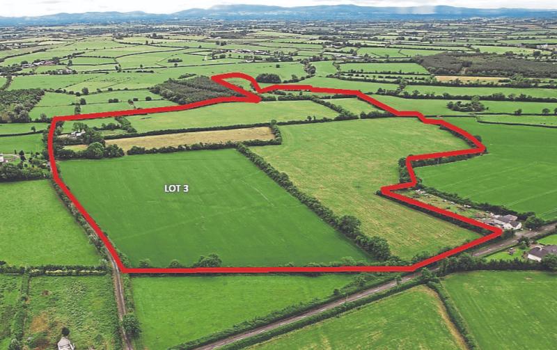 Three farms of land in Limerick go under the hammer in a week for close to €2m