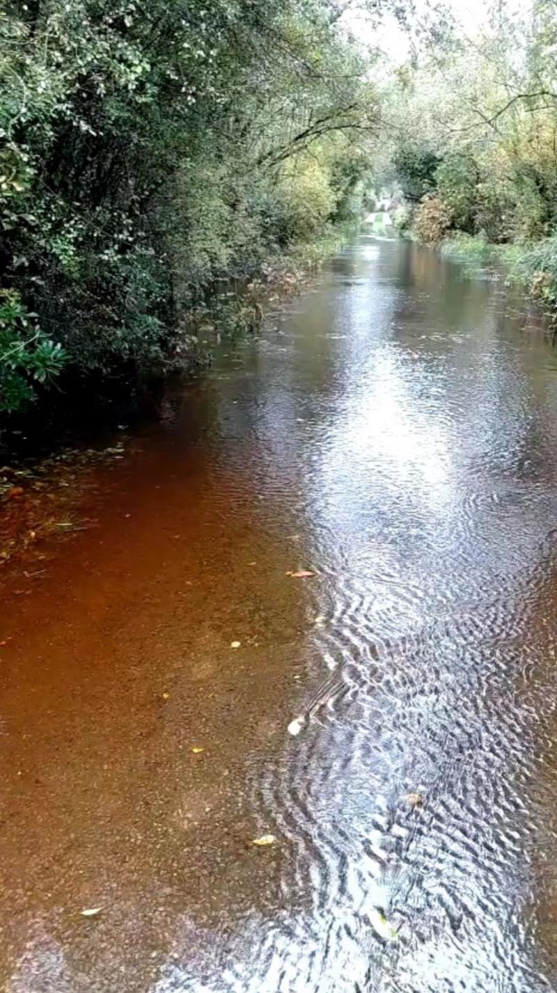 Road closed due to flooding in Limerick