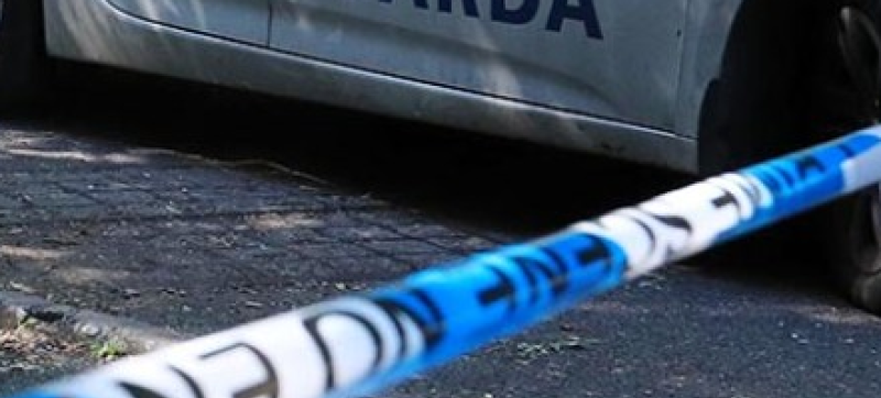 Gardai probe arson attack in the dead of night in Limerick