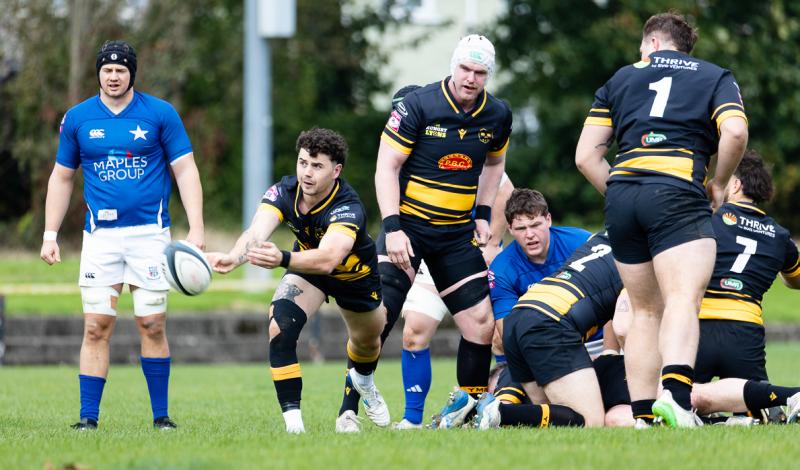 Limerick All-Ireland League rugby clubs