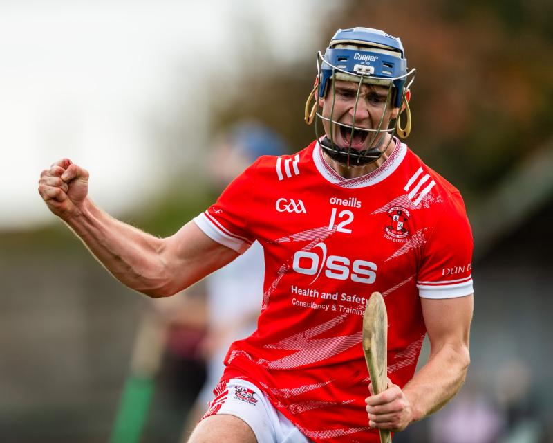 Doon power past Ballybrown to book place in Limerick Senior Hurling Championship final