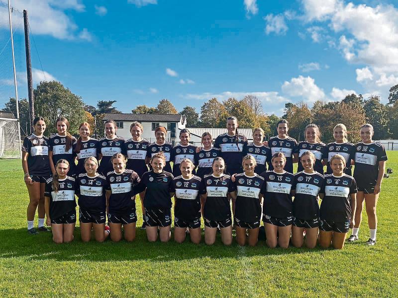 Newcastle West and Monaleen set for Limerick Senior Camogie Championship decider 