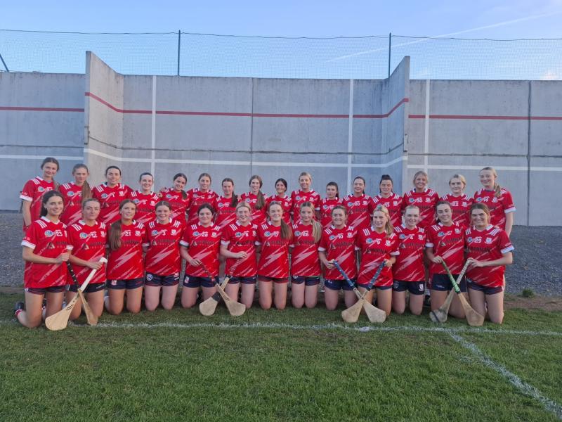 Limerick Camogie Championships reach critical stage