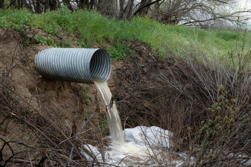 'Risk to public health' that raw sewage is still going into Irish waterways