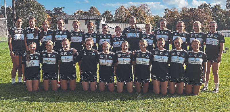 Newcastle West secure third Limerick senior camogie title with victory over Monaleen