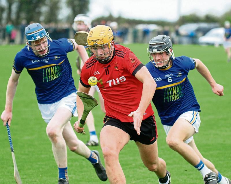 All you need to know about three Limerick schools competing in this year's Dr Harty Cup