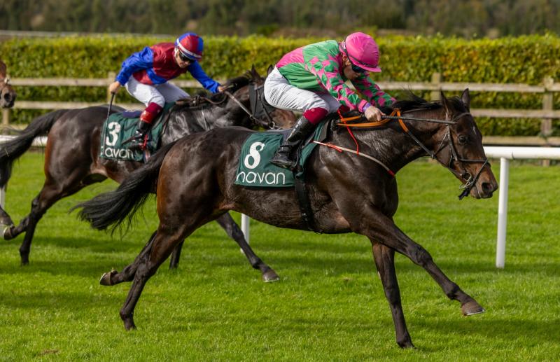 Limerick jockeys and trainers celebrate hugely successful spell on the racetrack 