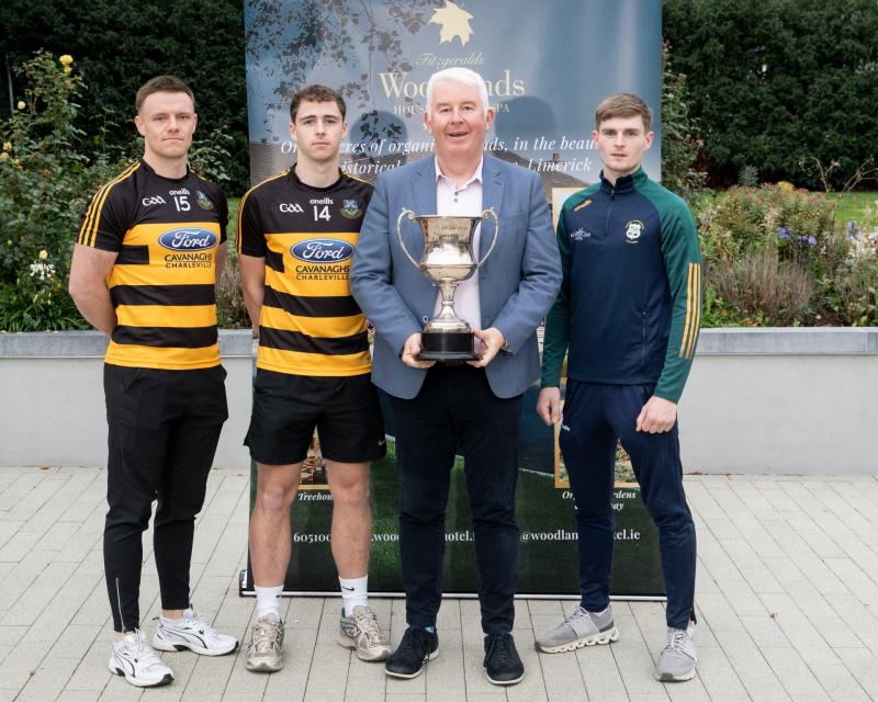 Limerick Junior Hurling Championship titles up for grabs this weekend 