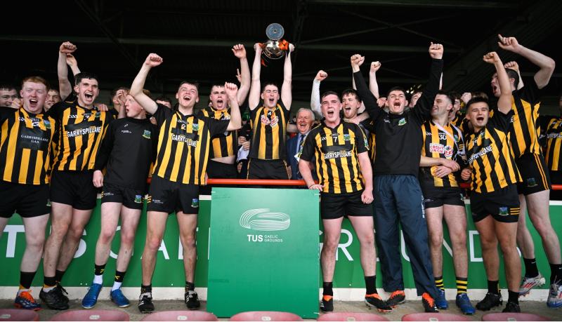Garryspillane crowned Limerick premier intermediate hurling champions after dramatic shoot-out win over Effin