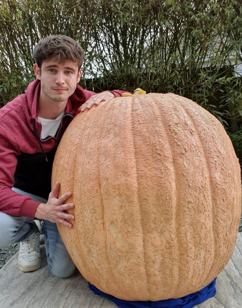 It took four to five people to lift it into the car!': Servatius and his gigantic Limerick pumpkin