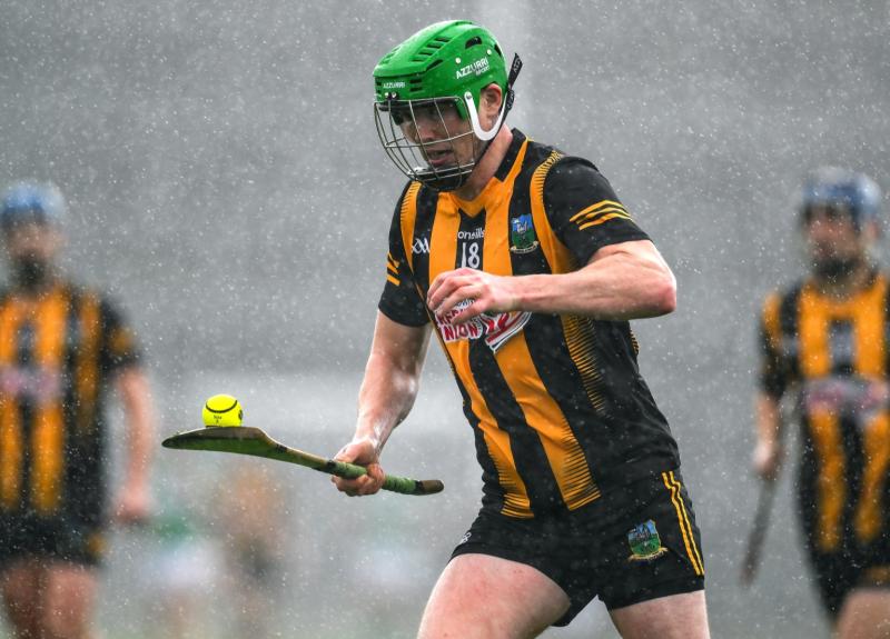 Limerick Premier Intermediate champions Garryspillane eye provincial campaign