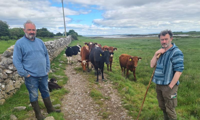 Brothers in ‘farms’ open up their unique Limerick farm with a rare lagoon to the public