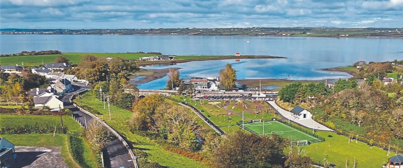 'Aggressive and unpredictable': Warning issued as wild animal takes up residence in Limerick village