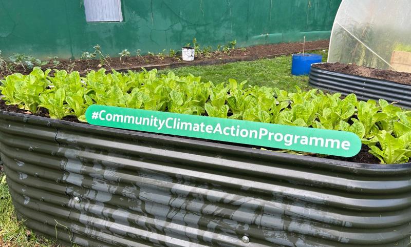 Community Climate Action Programme tackles local climate commitment in Limerick