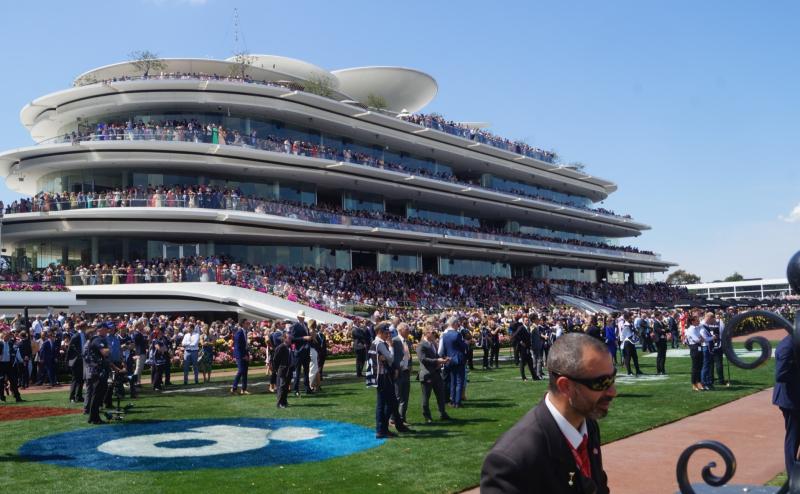 WATCH: Strong Limerick link to Lexus Melbourne Cup winner Down Under