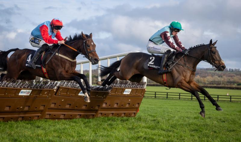 Rathkeale jockey Calum Hogan enjoys successful week on the track 
