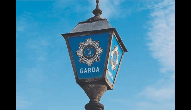 Tools, equipment and diesel stolen in overnight thefts on County Limerick farms