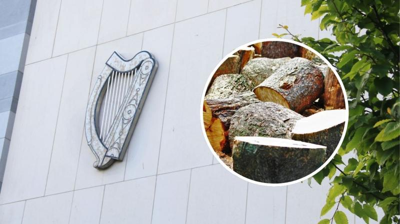 'Cart before the horse' - Limerick man in court over unauthorised timber-cutting business