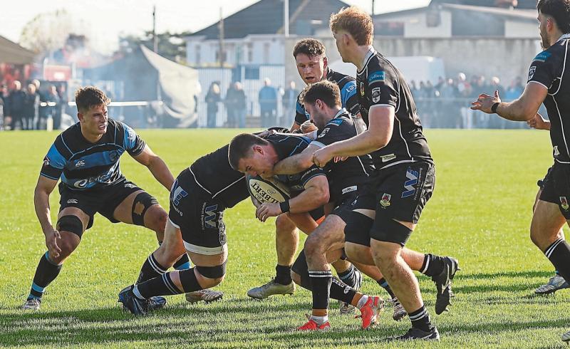 Limerick's seven senior rugby clubs resume All-Ireland League action