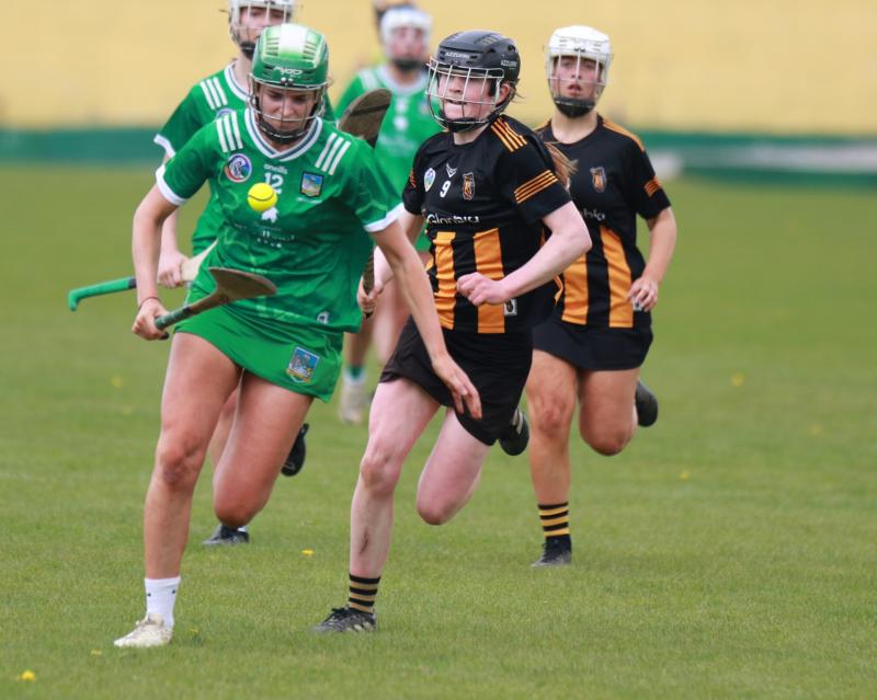 Limerick minor camogie panel announced for 2026 season