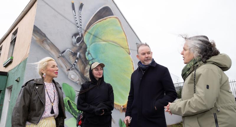 Island Road becomes latest canvas in Limerick’s Wildlife Walls project