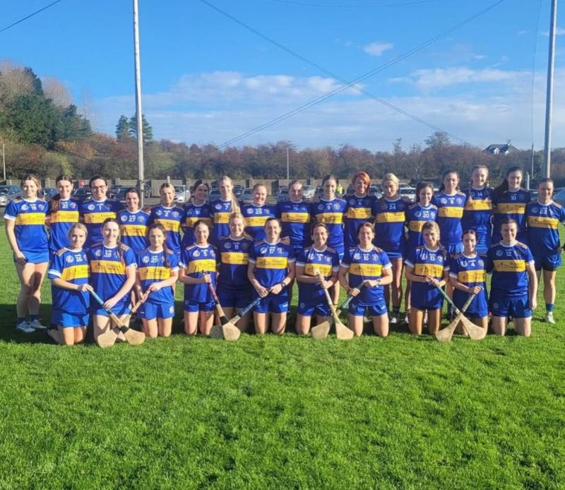 'Finals are there to be won and that's the mindset we're going in with' - Patrickswell camogie captain Sarah Carey 