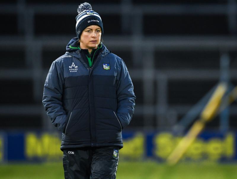 Highly renowned Sports Psychologist  rejoins Limerick senior hurling backroom team