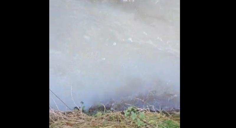 BREAKING: Investigation launched after latest pollution incident on Limerick river