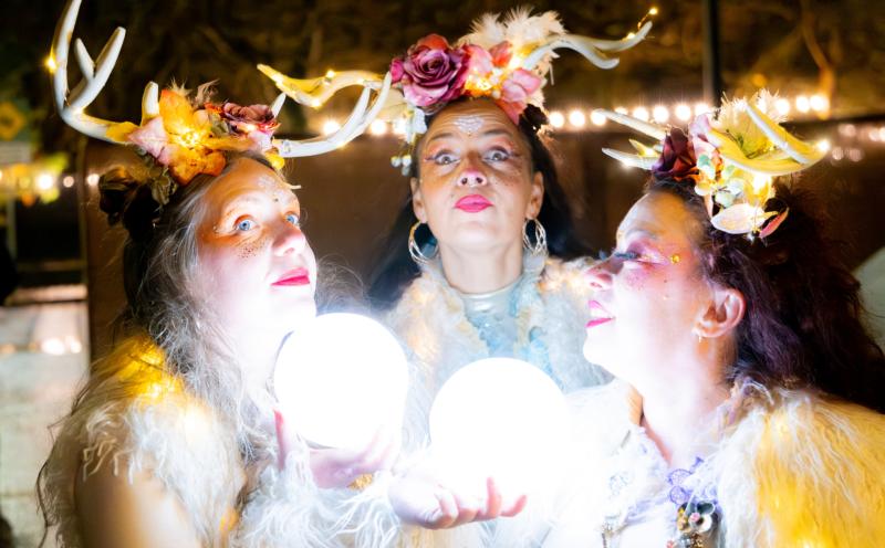 Limerick shines bright with a festive calendar full of Christmas fun