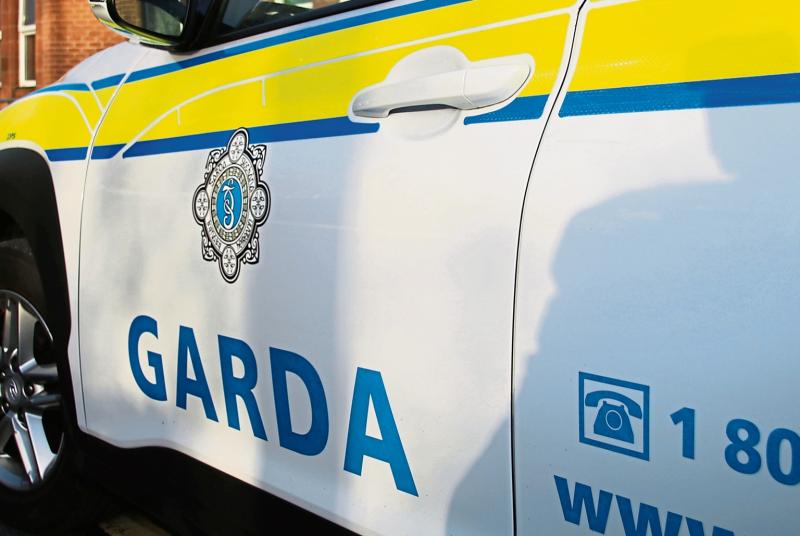 UPDATE: €400,000 seized in major garda operation in Limerick town