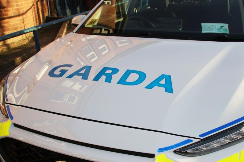 Rhinoceros horns, designer bags and watches seized by gardai in Limerick town