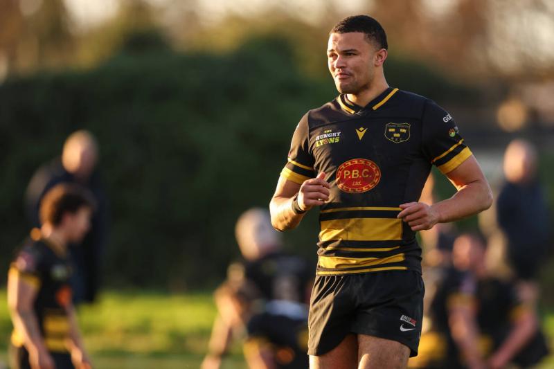 Agonising weekend for Limerick clubs in men's All-Ireland League action 