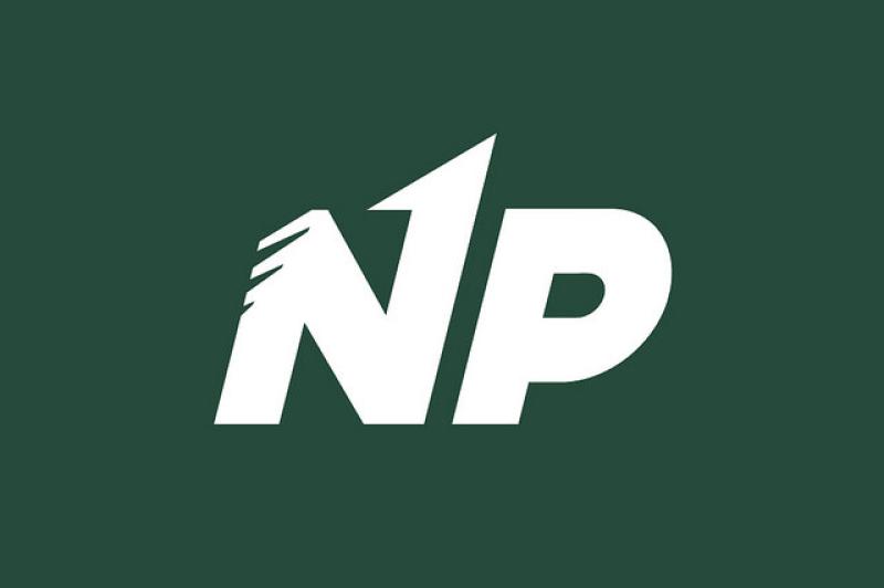 Flags erected in Limerick 'to try and create division in our community', councillor claims