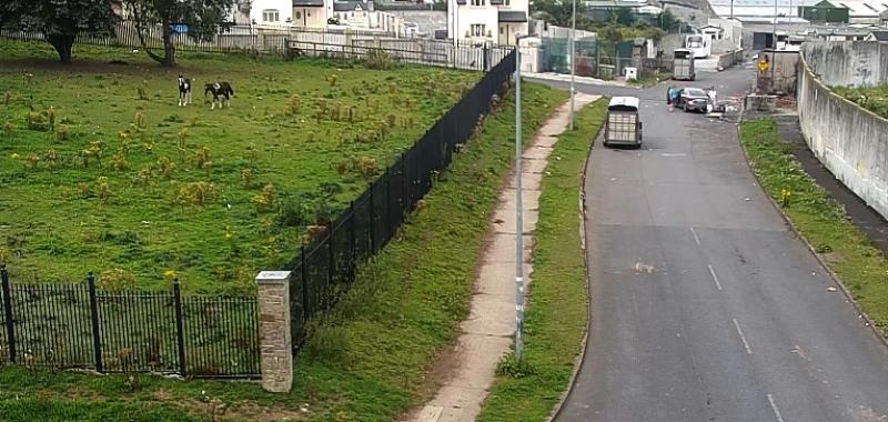 Hefty fine for Limerick man who 'mistakenly believed' he was entitled to dump on street