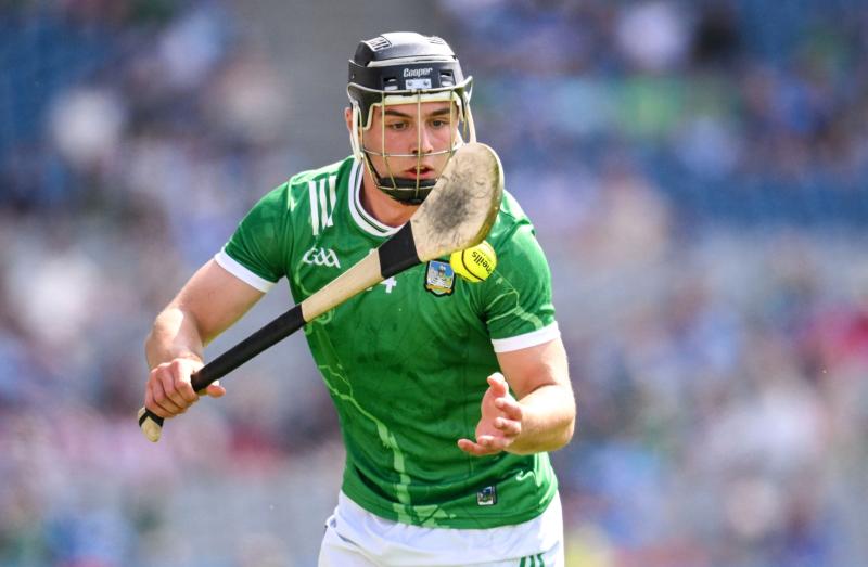 Limerick senior hurling side to face Tipperary in 'Champions Under Lights' charity fixture named