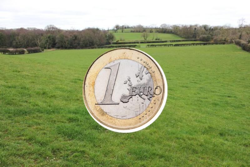 Council to dispose of small piece of land in County Limerick for just &euro;1