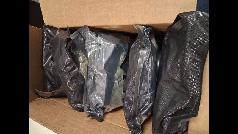 Garda&iacute; and Revenue Customs Service Seize &euro;100,000 Cannabis, Arrest